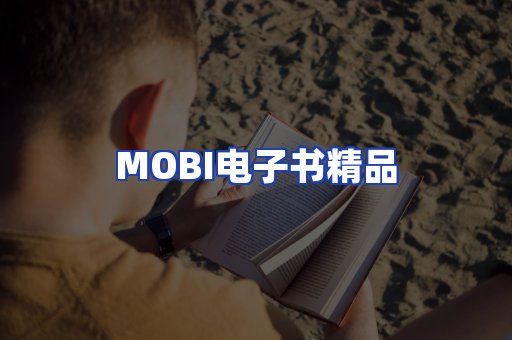 外文电子书产品